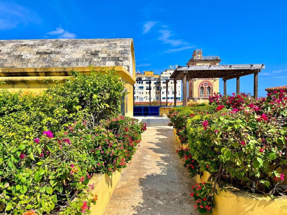 By Calamari Homes - El Porvenir 206 Walled